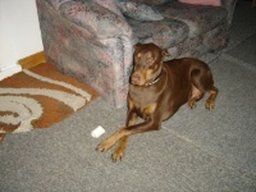 spike_20211130_1257245660